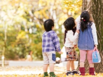秋の公園で落ち葉を見上げる子どもたち