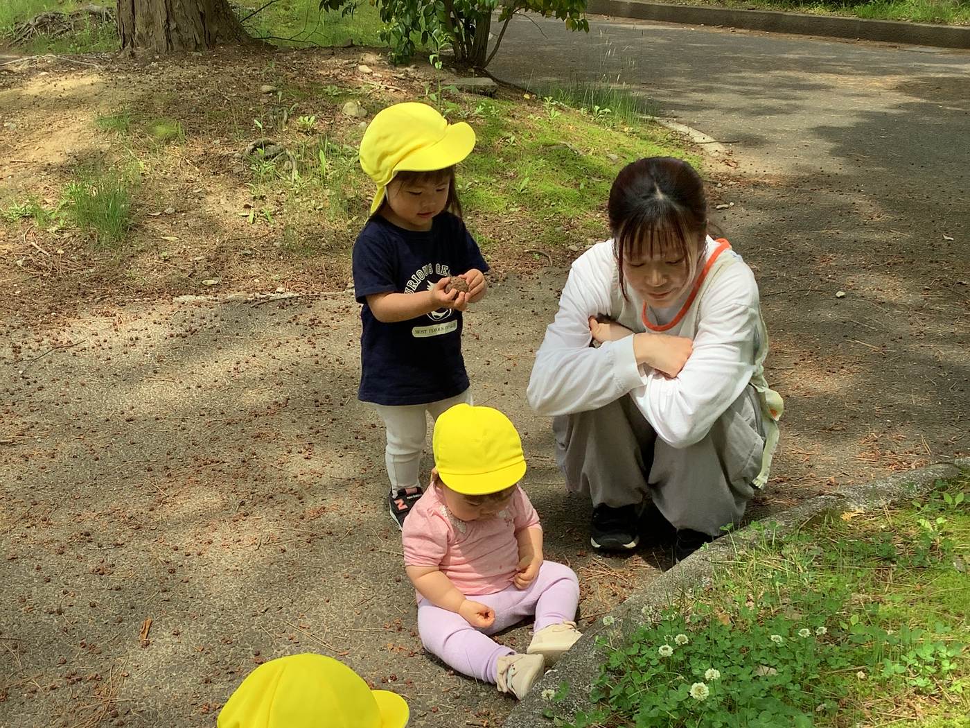 公園で草花や虫をさがす子どもたちと保育士