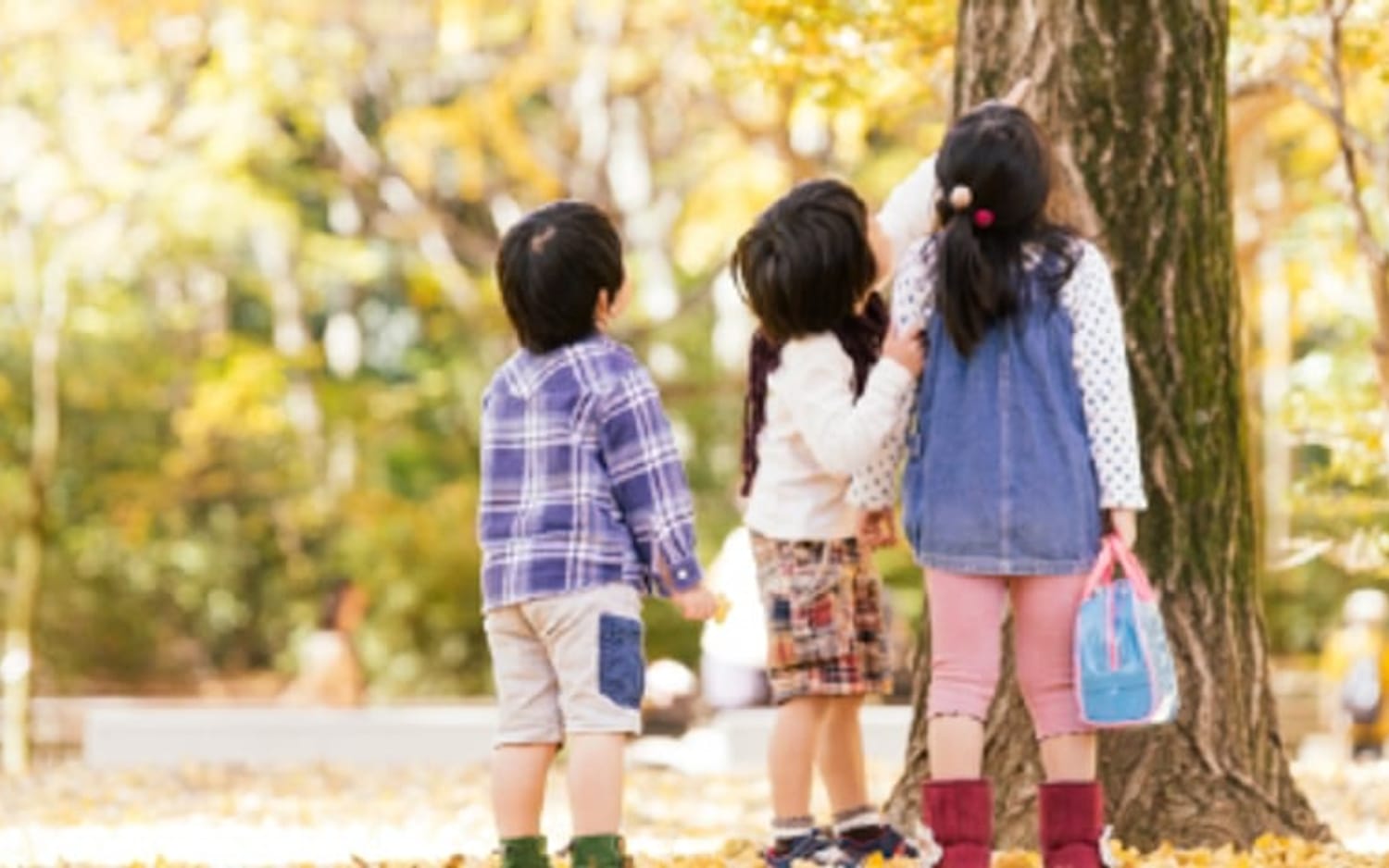 秋の公園を散策する子どもたち